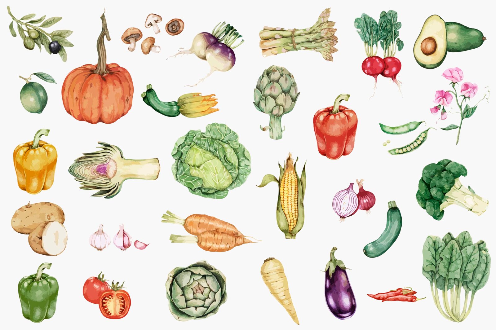 Seasonal Food Seasonal Food